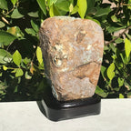 Refined Uruguayan Amethyst Freeform