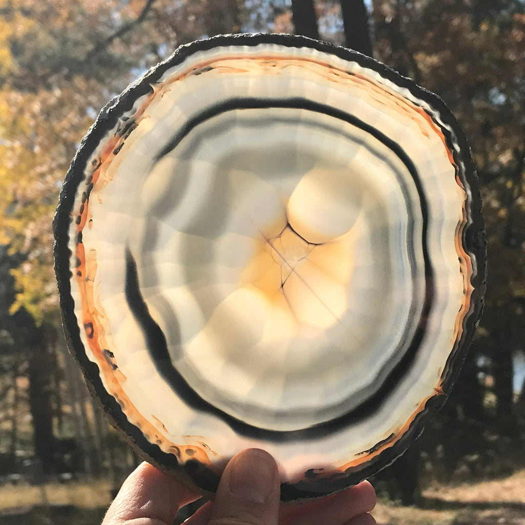 Banding and Bubbles Agate Slice