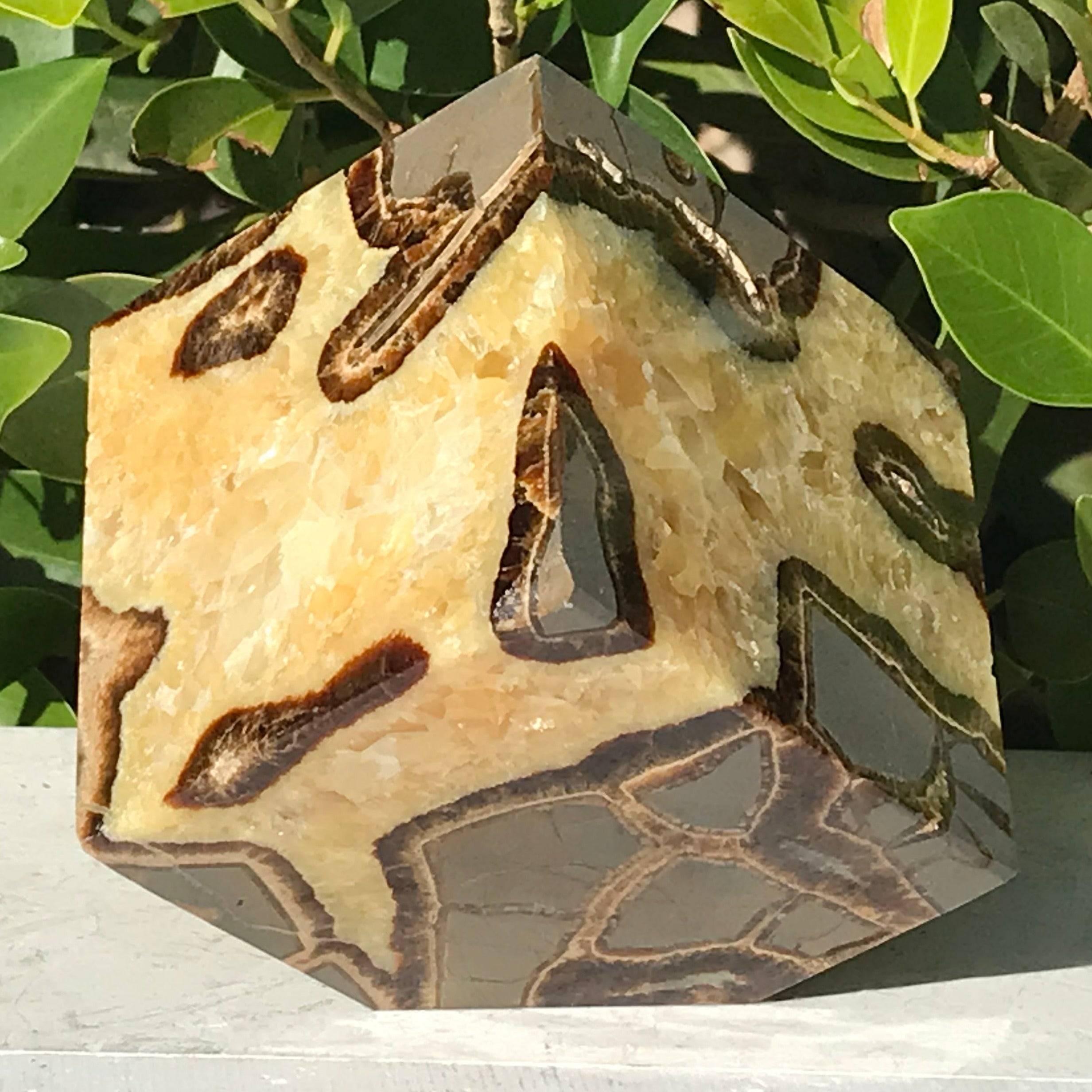 Polished Septarian Cube