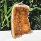 Glowing Citrine Crystal Cluster
