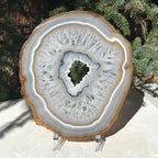Consecutive Agate Slice #1