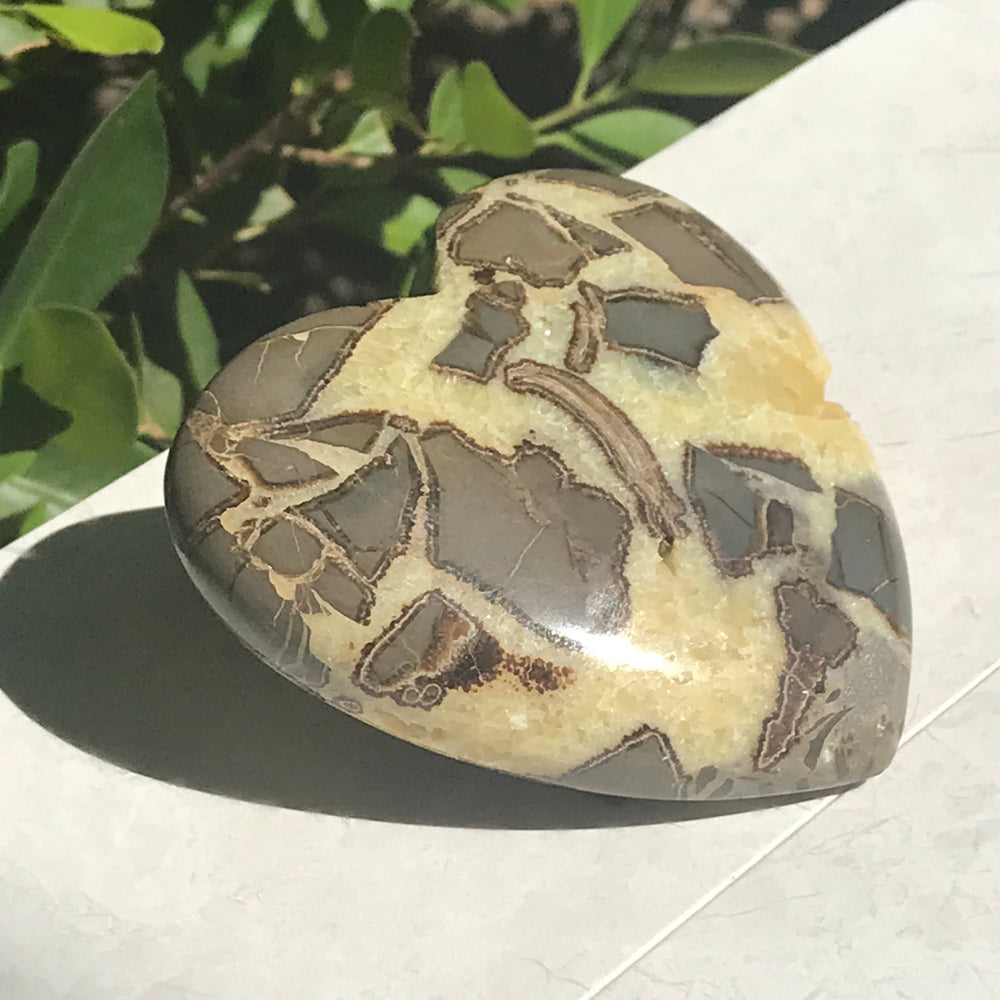 Double Sided Septarian Heart