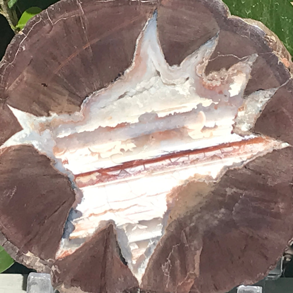 Star Insert Thunder Egg