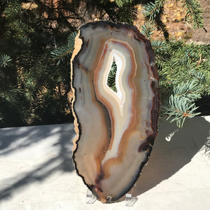 Microcrystalline Quartz and Banded Agate Slice