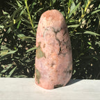 Tower of Rose Freeform