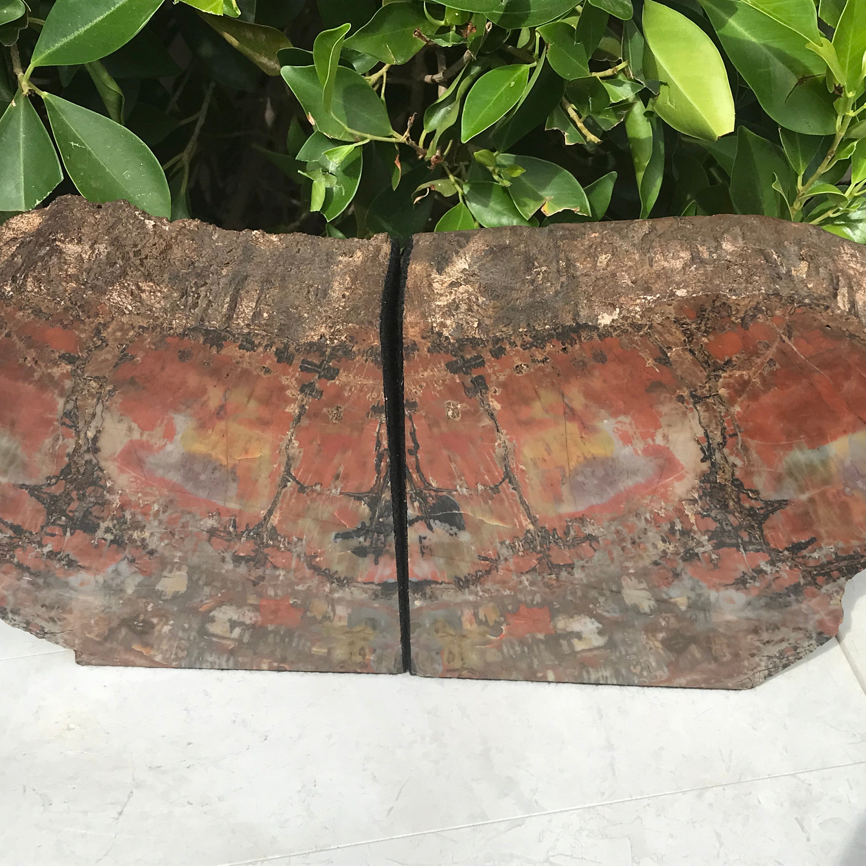 Arizona Rainbow Petrified Wood Bookends