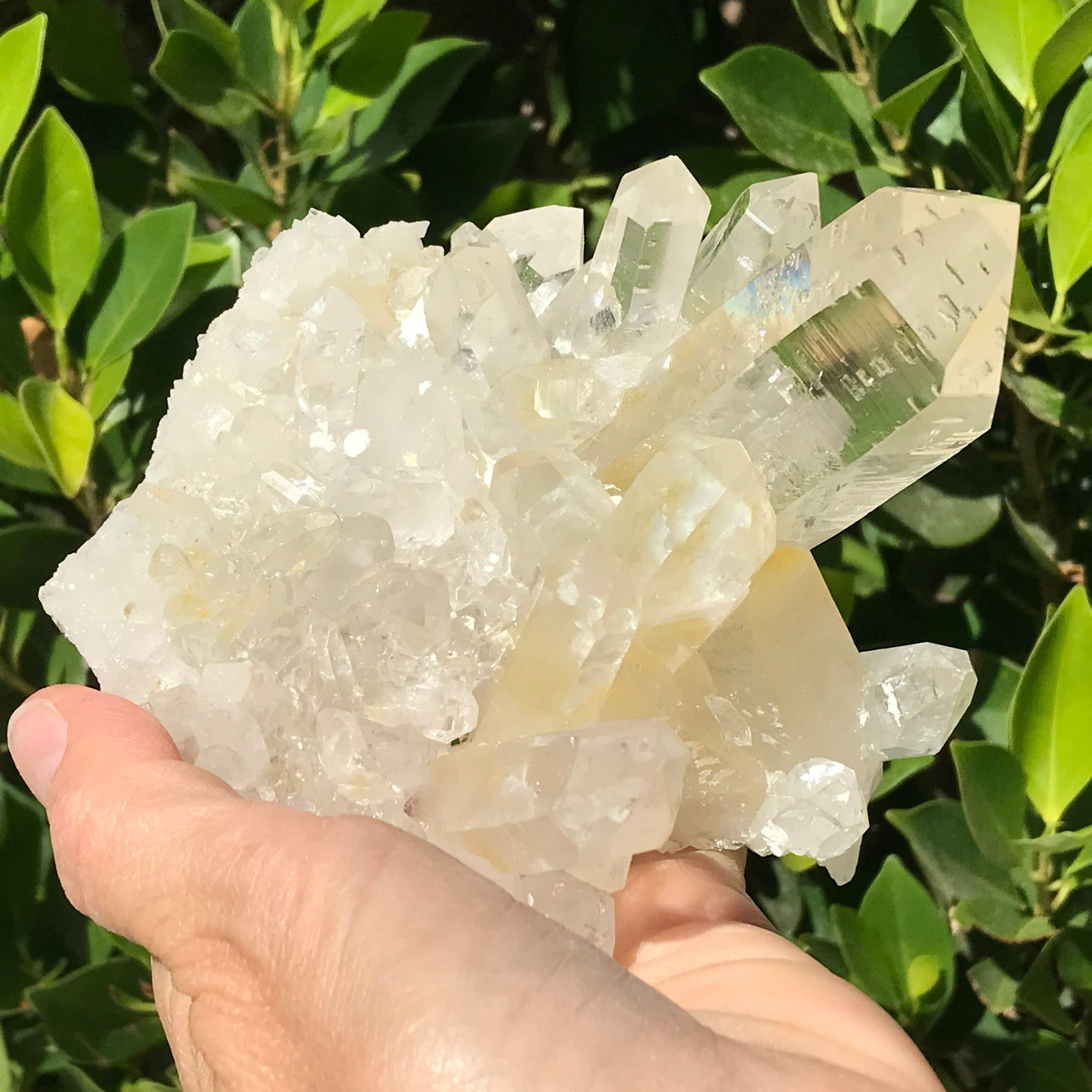 Brazilian Crystal Cluster