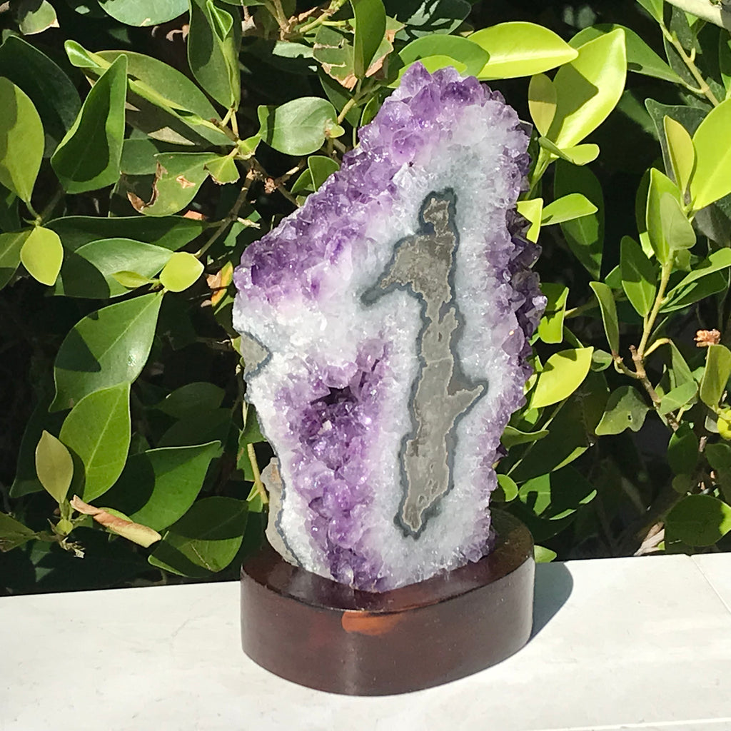 Crystal Rimmed Amethyst Cluster