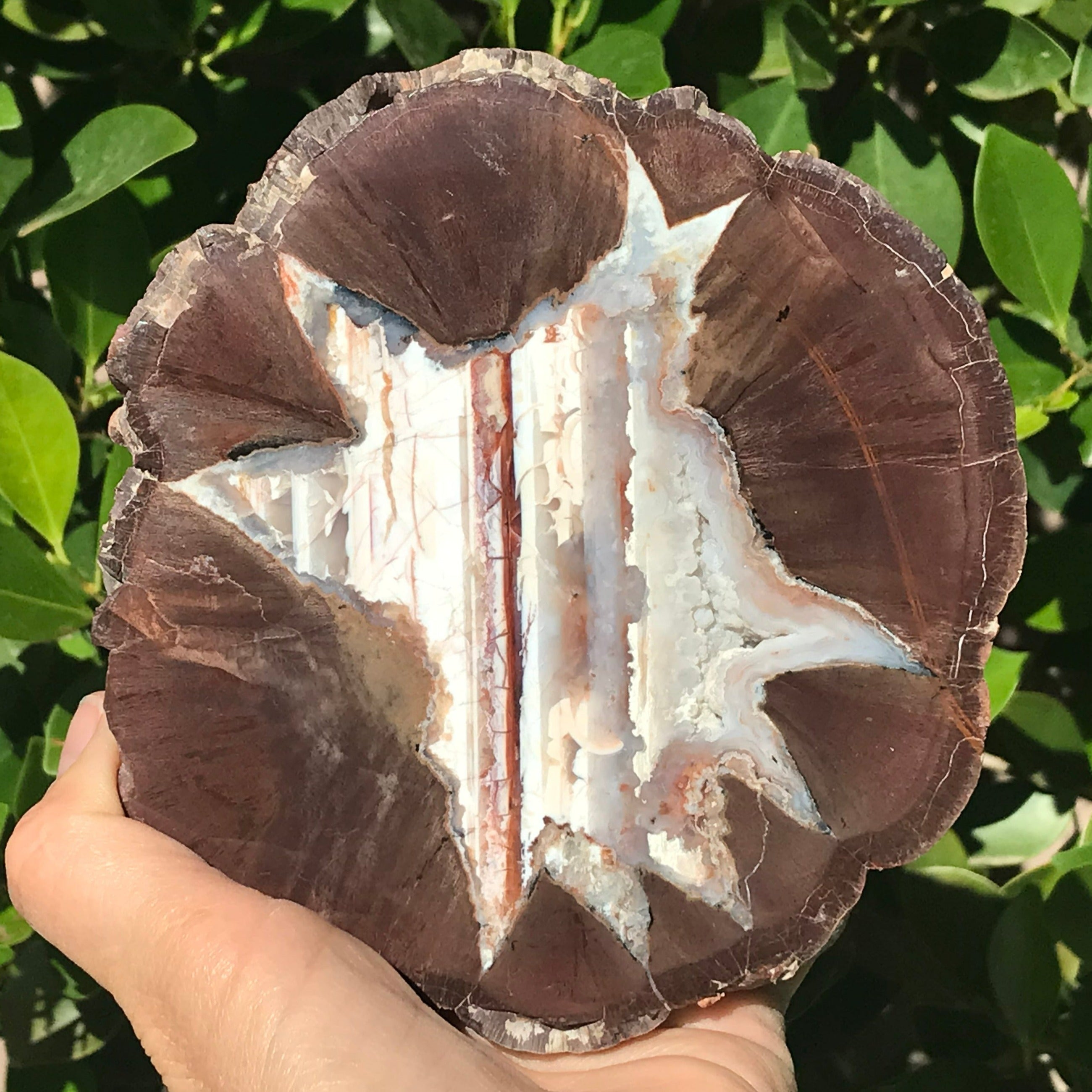 Star Insert Thunder Egg