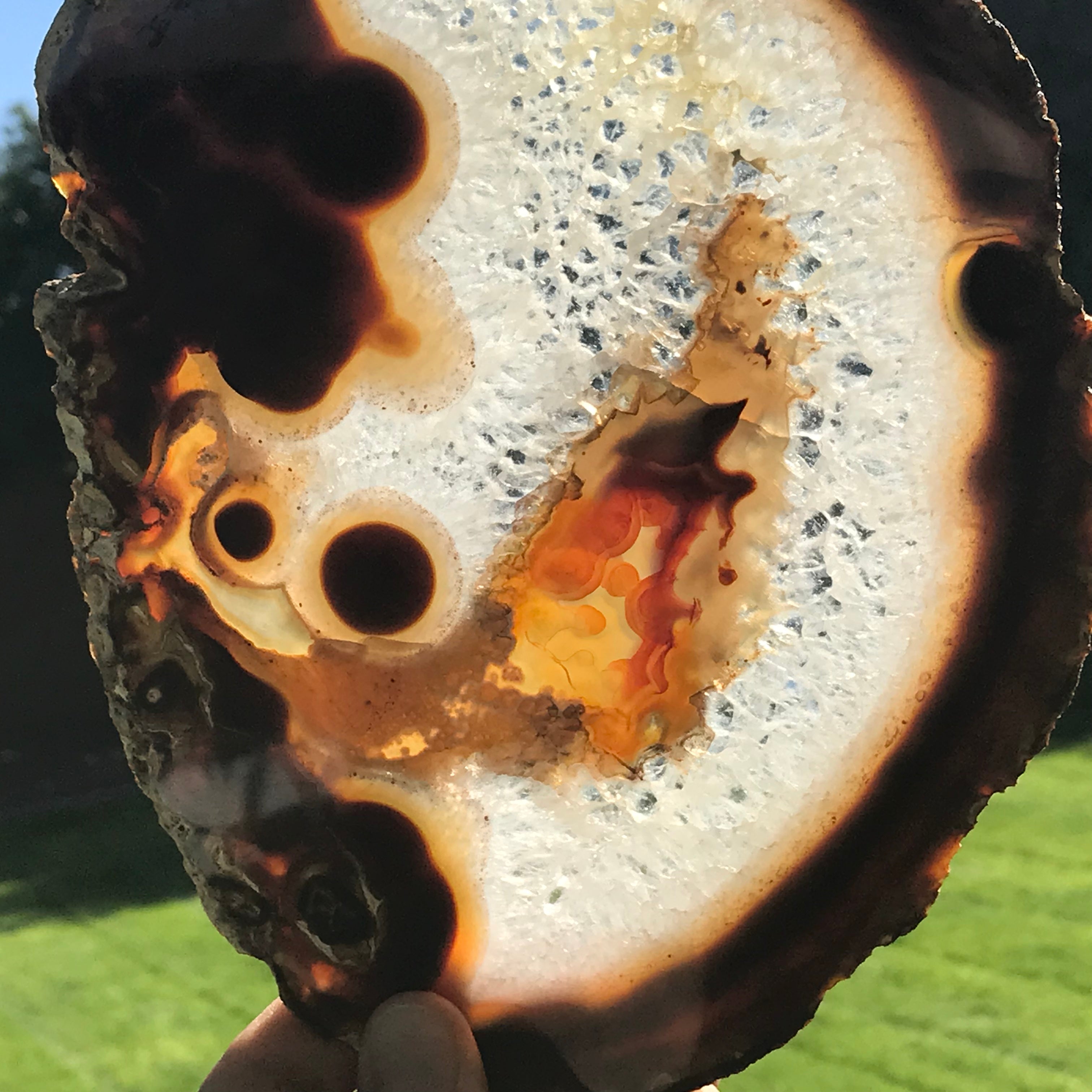 Hues of a Rainbow Agate Slice