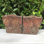 Arizona Rainbow Petrified Wood Bookends