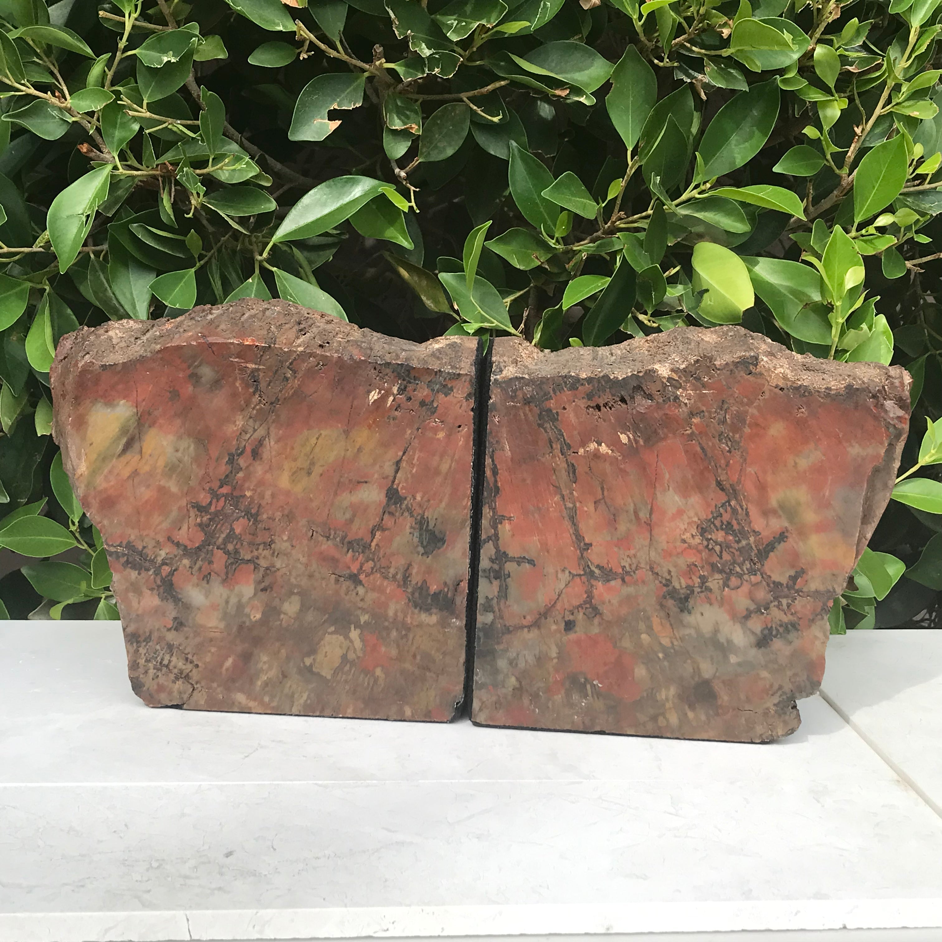 Arizona Rainbow Petrified Wood Bookends