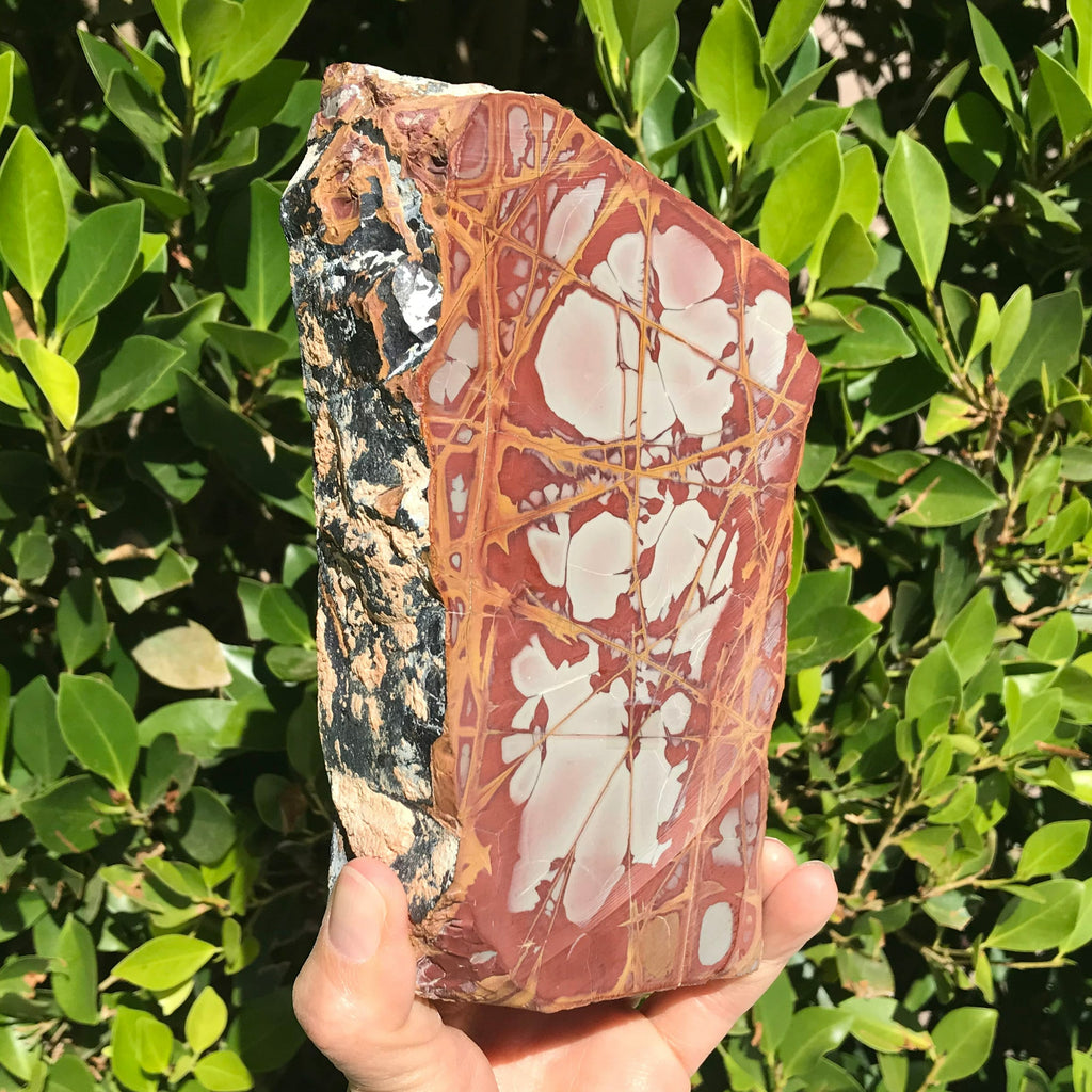 Noreena Jasper Slab