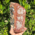 Noreena Jasper Slab