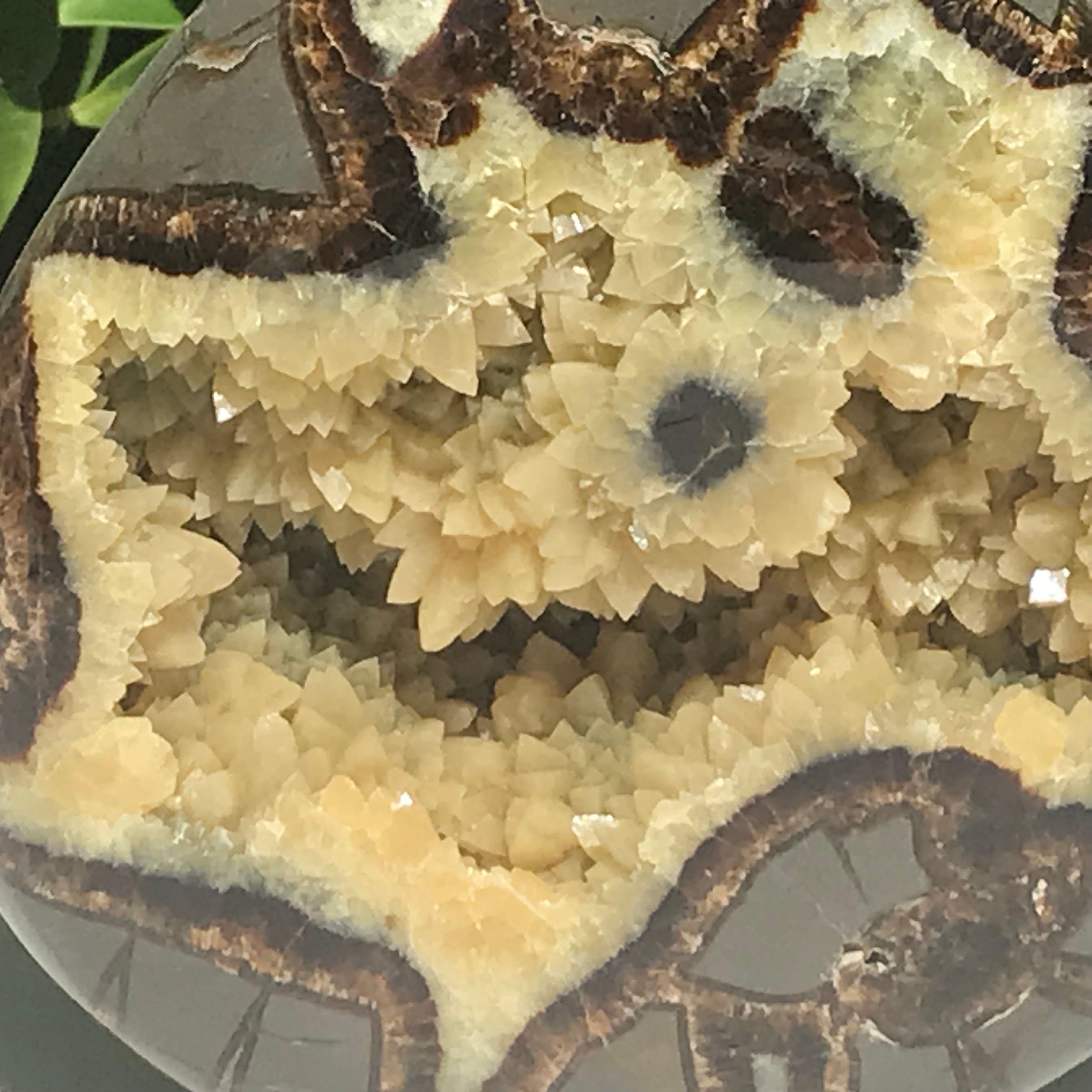 Flame Shaped Polished Septarian