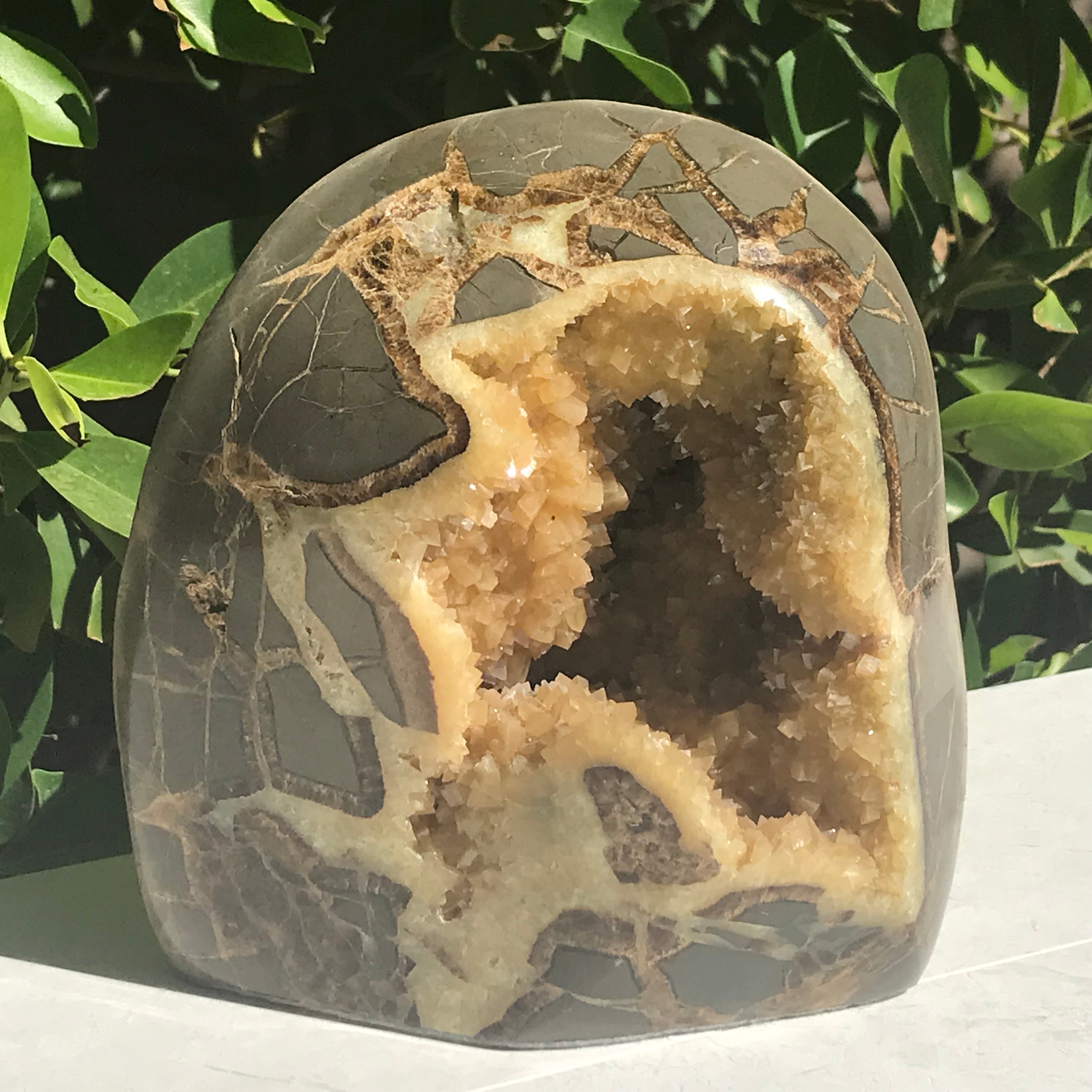 Crystal Filled Septarian Geode