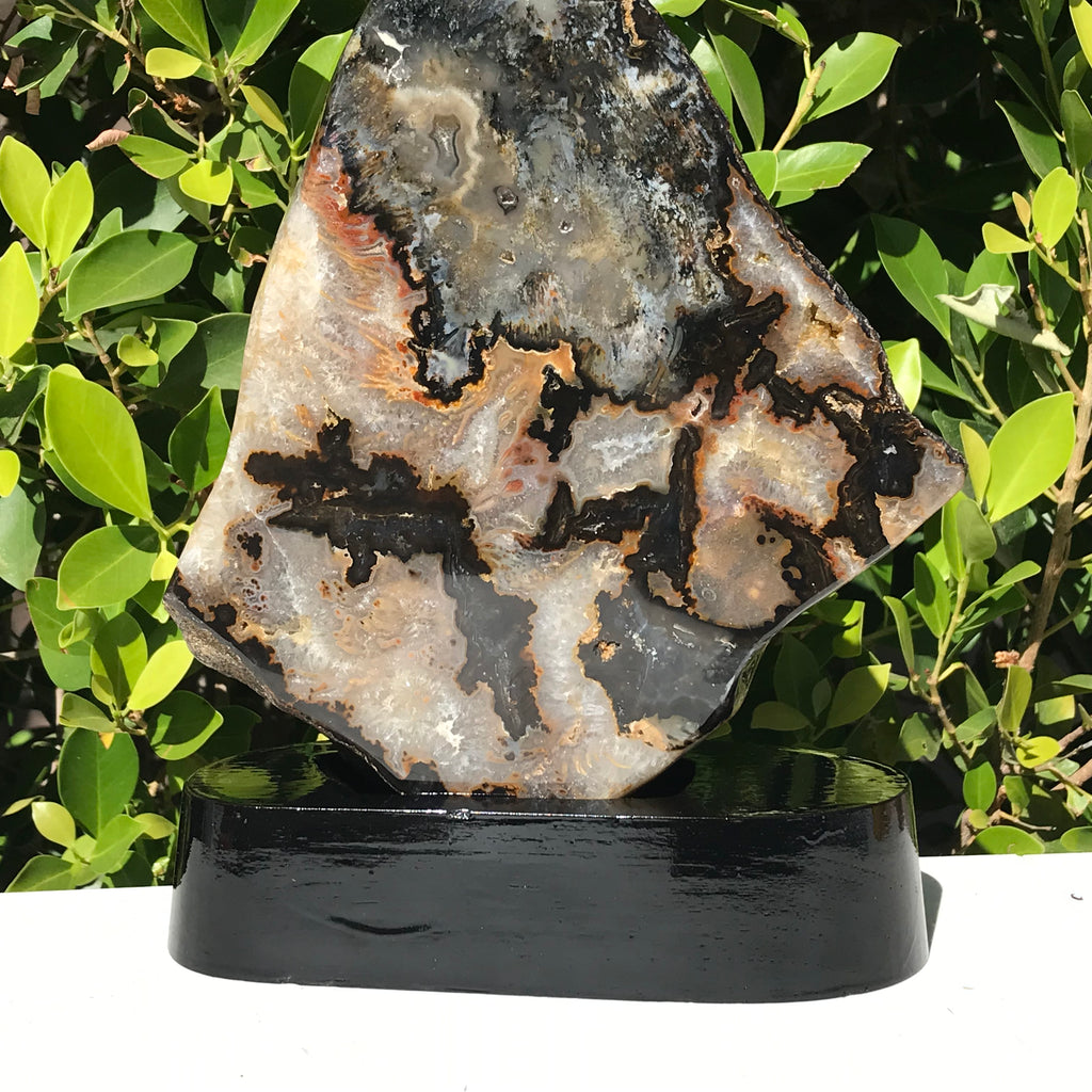 Neutral Brazilian Agate Freeform