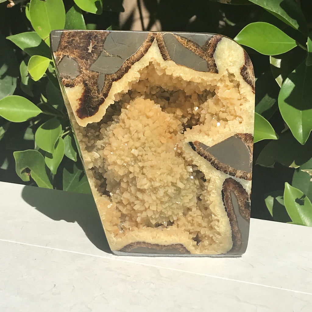 Polished Septarian Geode