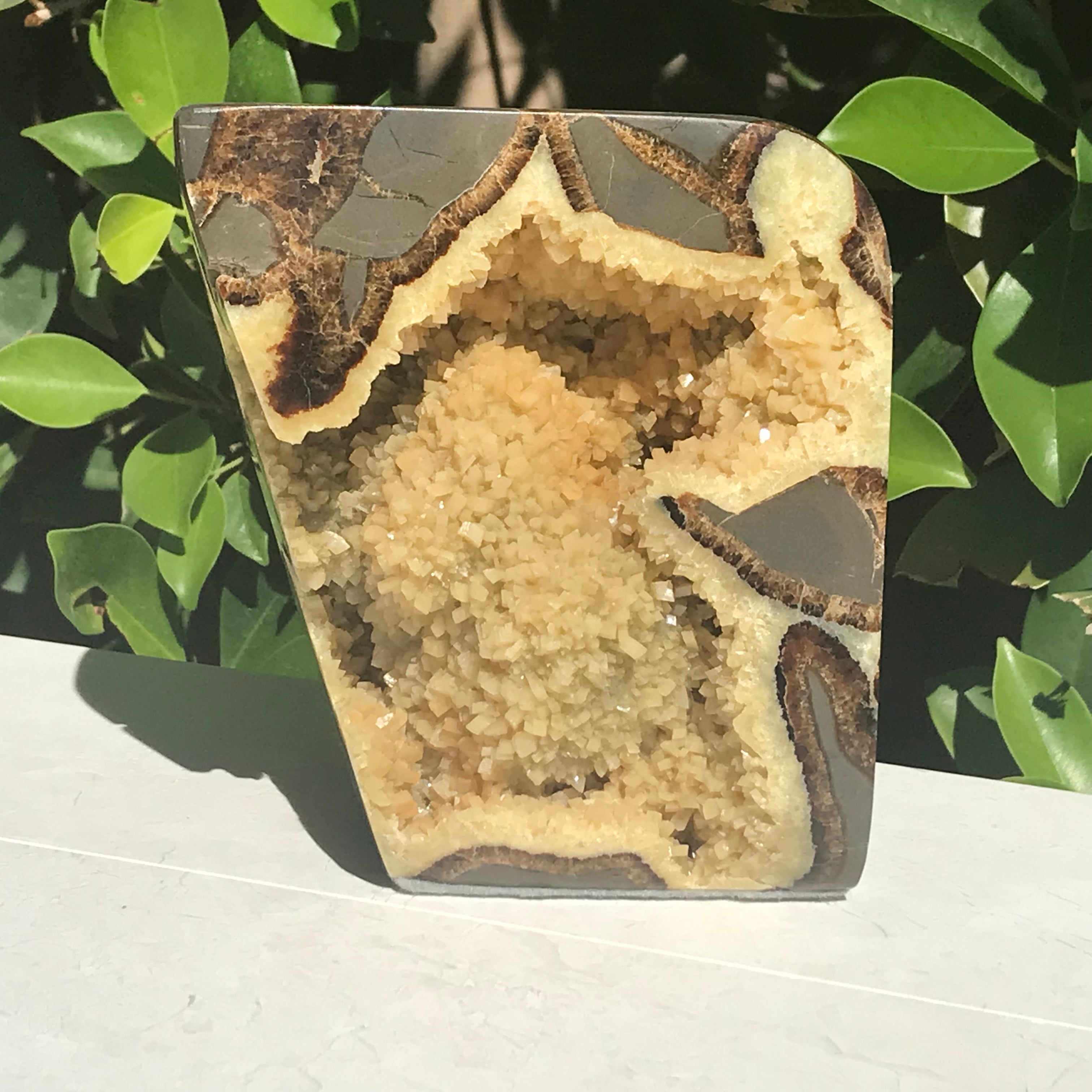 Polished Septarian Geode