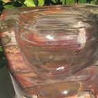Multihued Petrified Wood Bowl