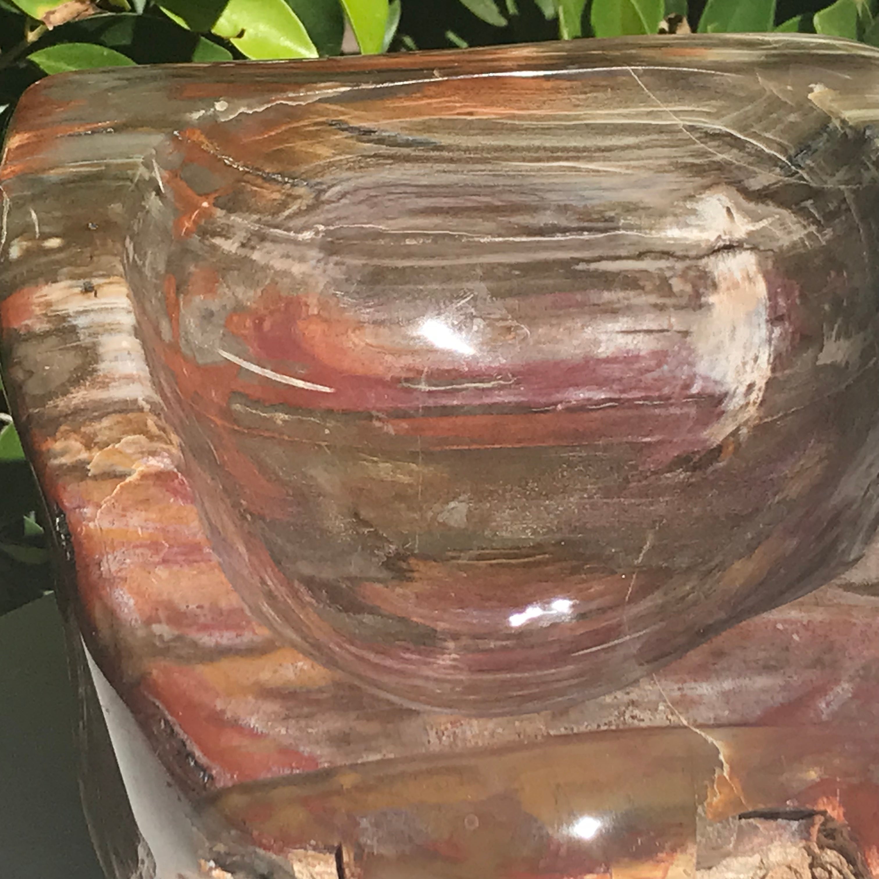 Multihued Petrified Wood Bowl