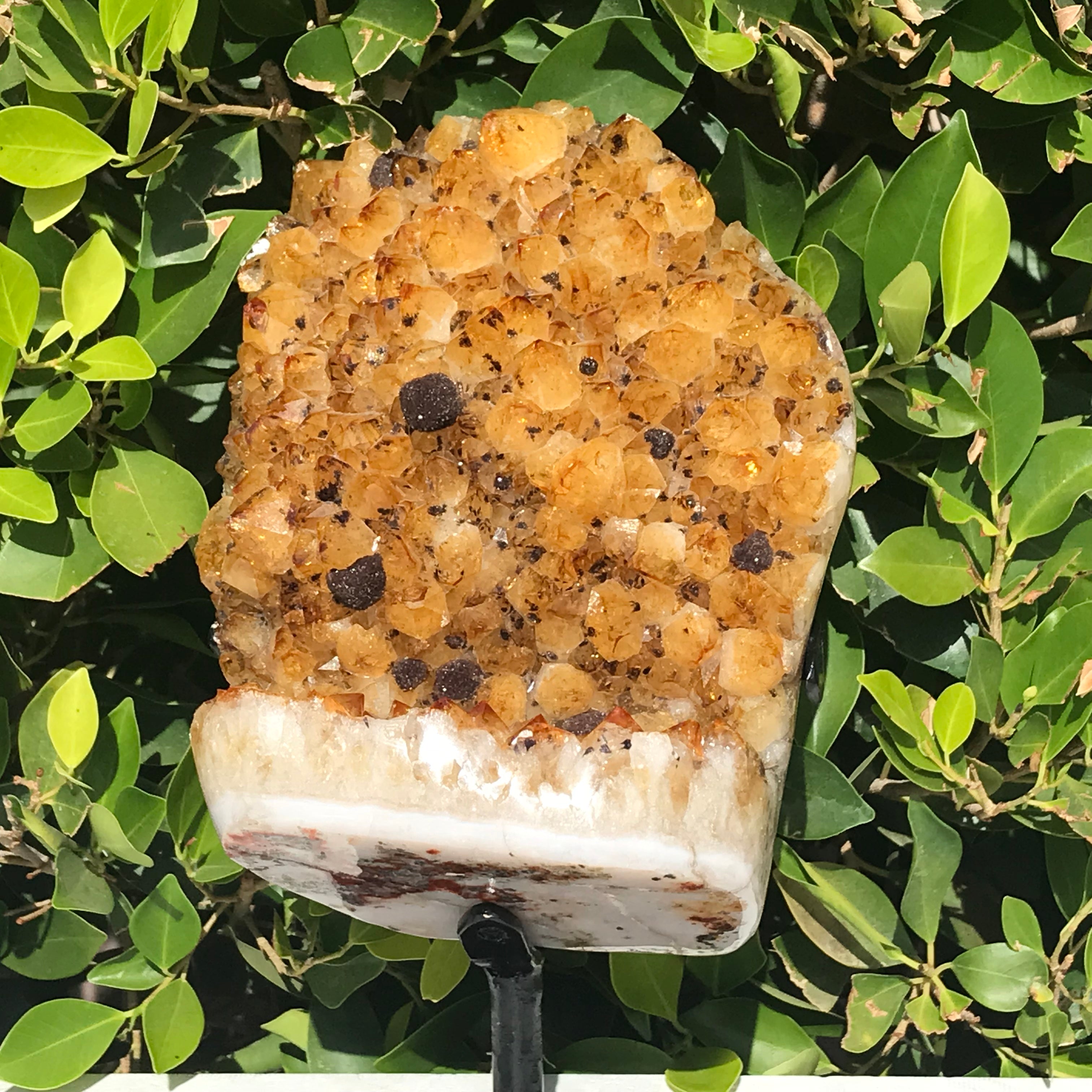 Goethite Speckled Brazilian Citrine Cluster