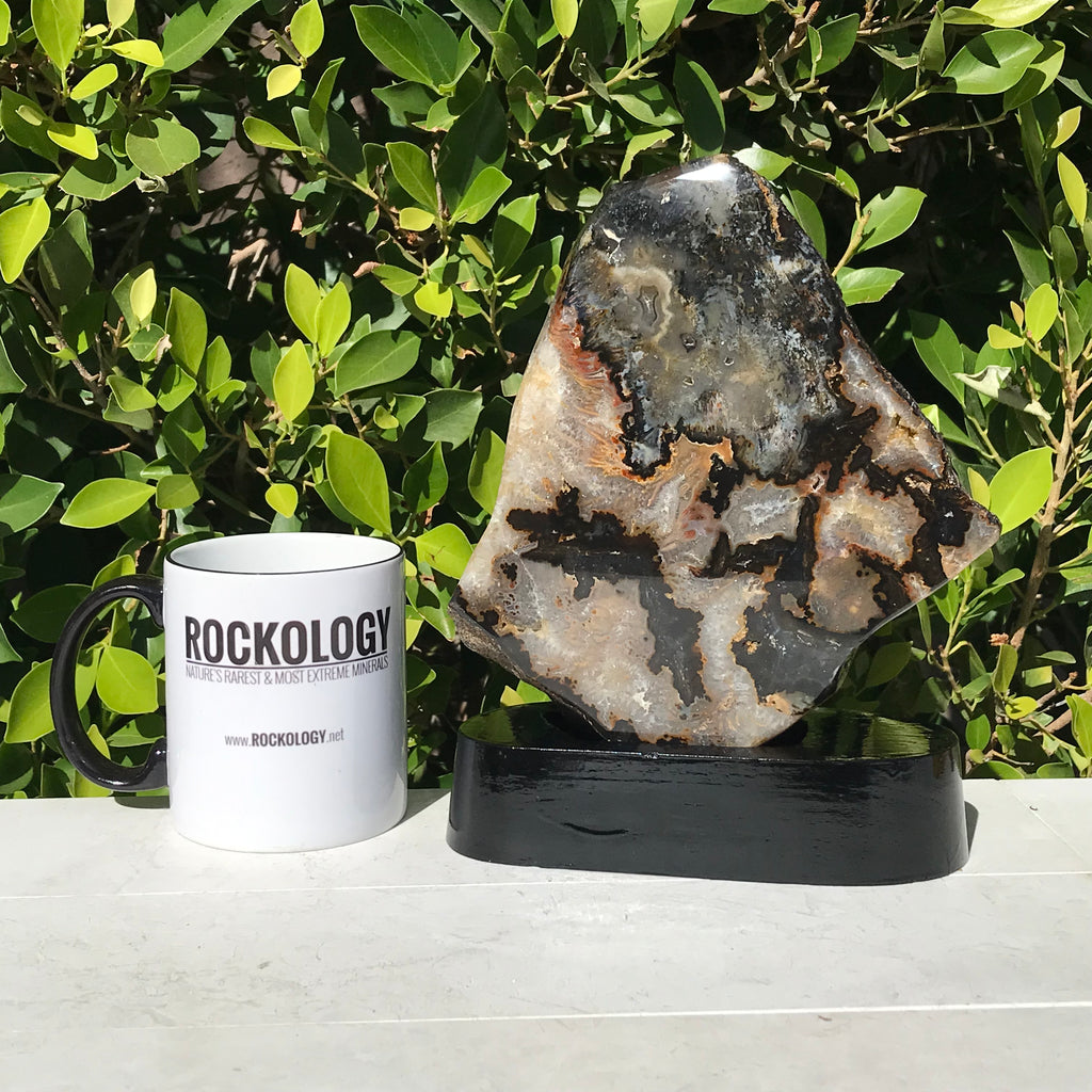 Neutral Brazilian Agate Freeform
