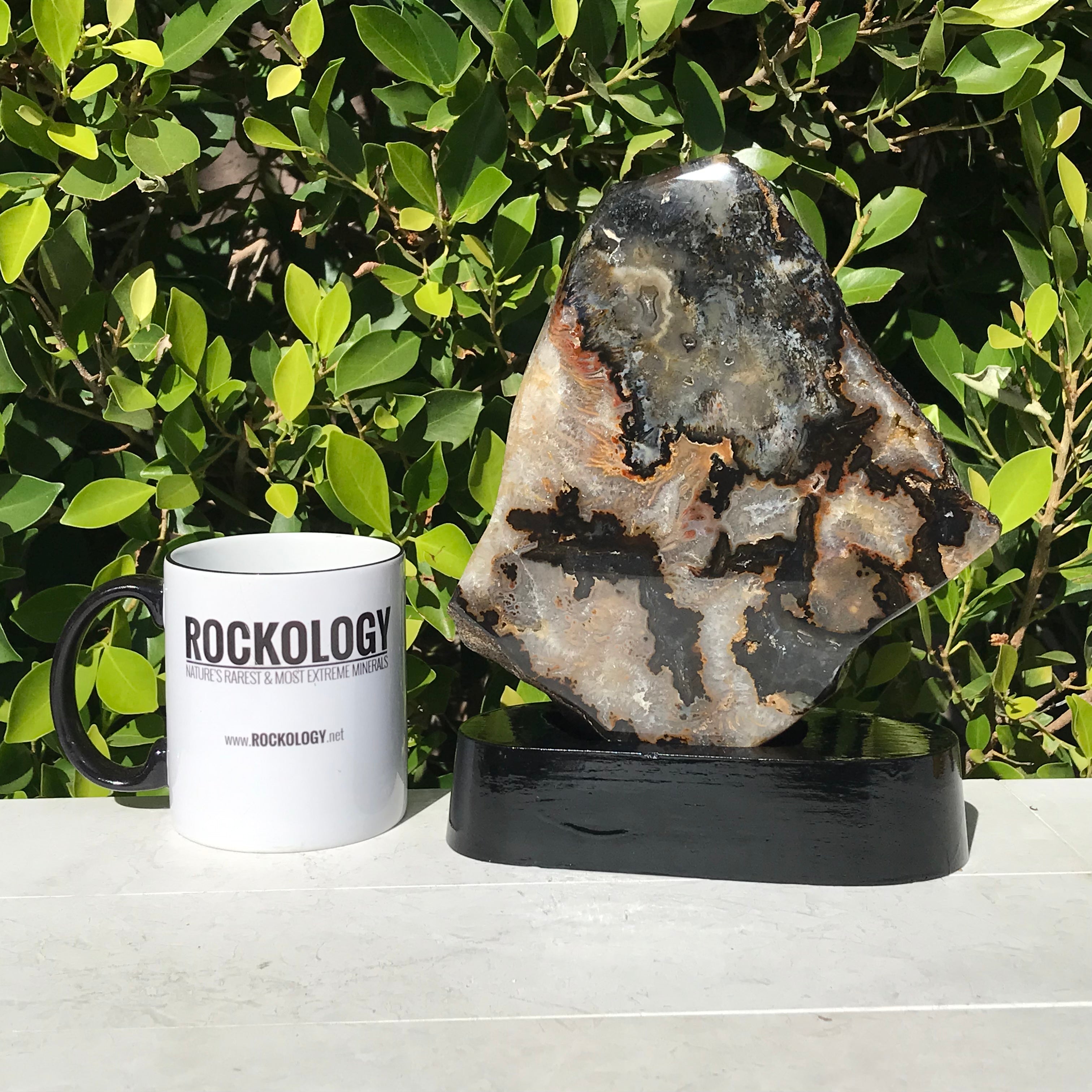Neutral Brazilian Agate Freeform
