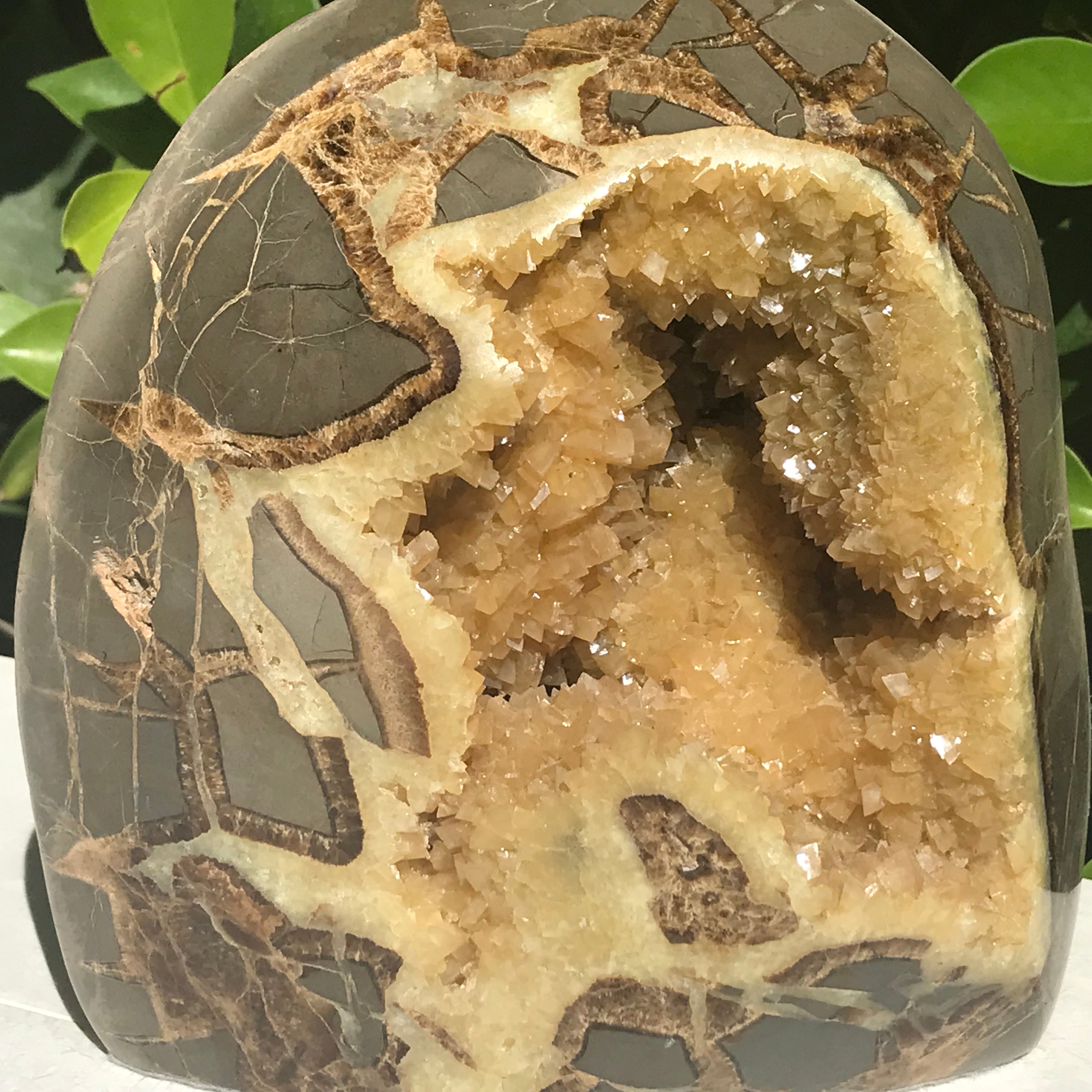 Crystal Filled Septarian Geode