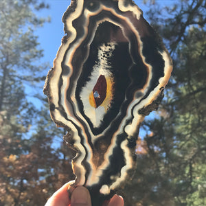 Striated Black Agate Slice
