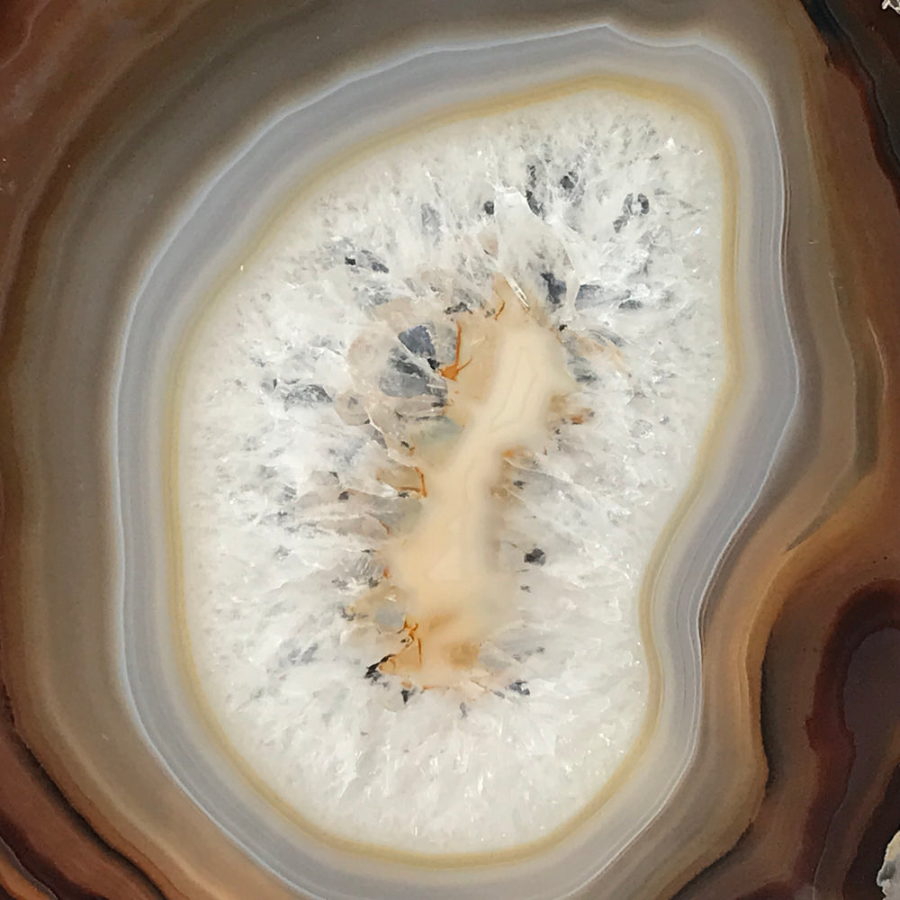 Shades of Fall Agate Slice