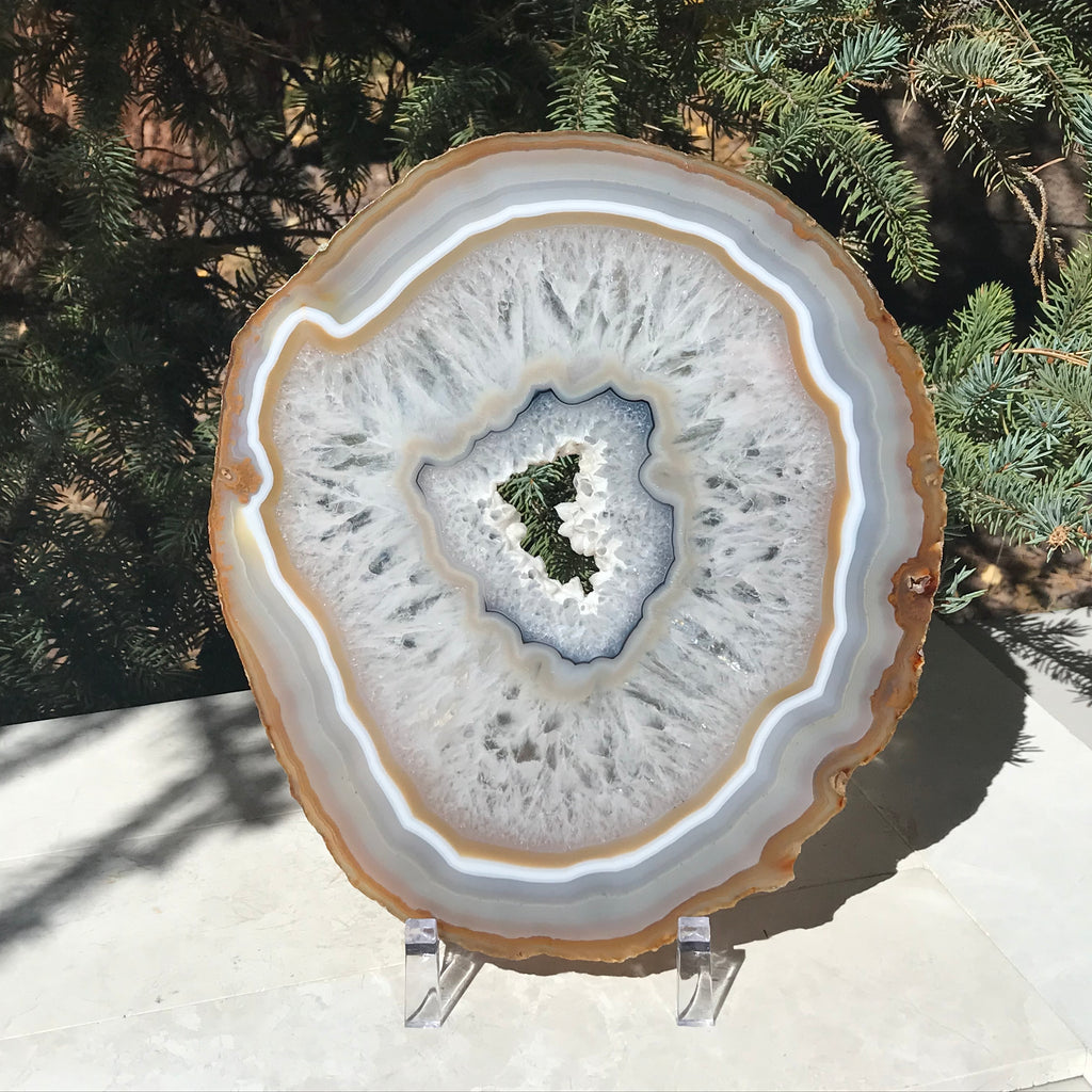 Consecutive Agate Slice #2