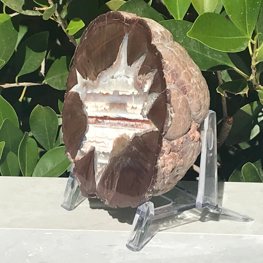 Star Insert Thunder Egg