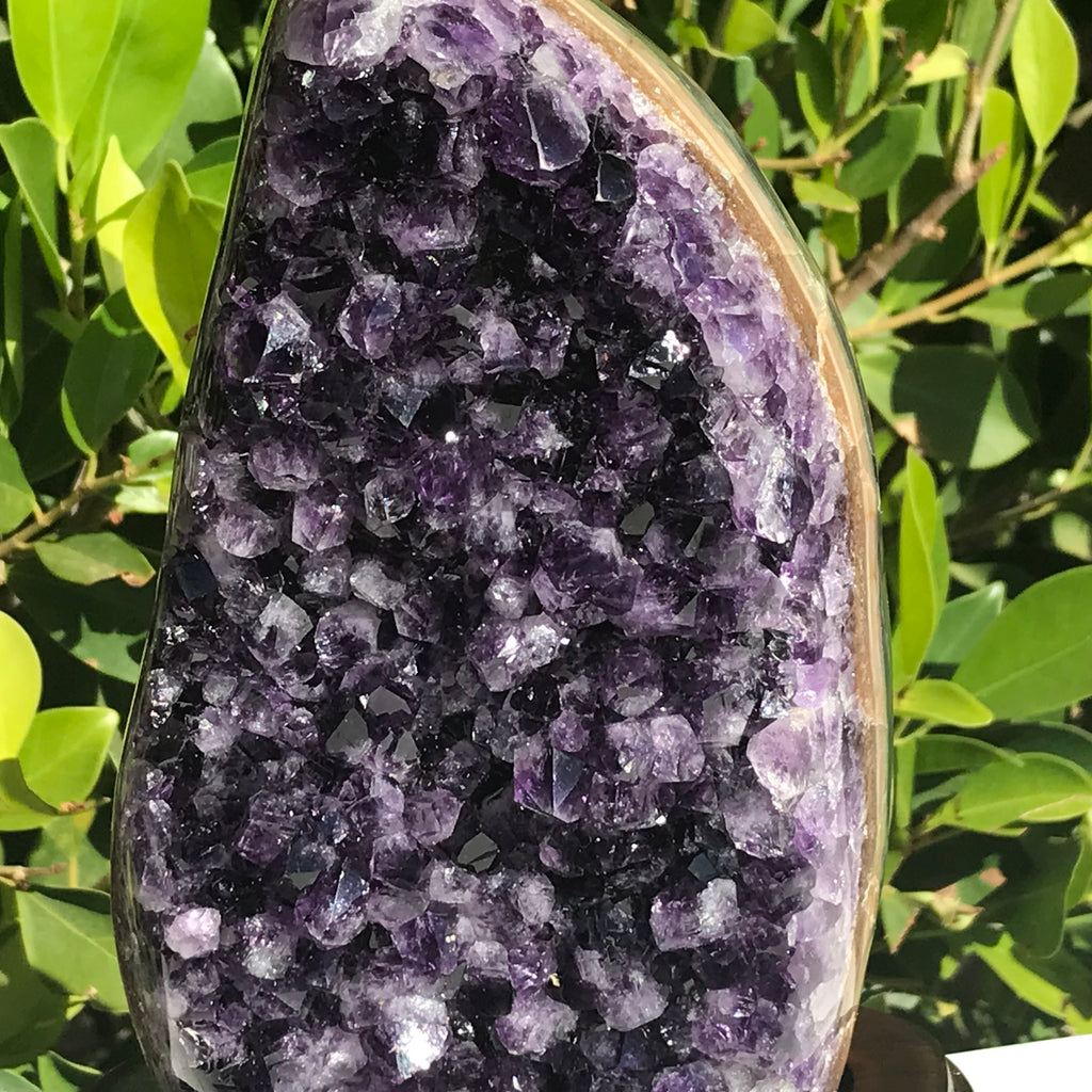 Classic Amethyst Freeform