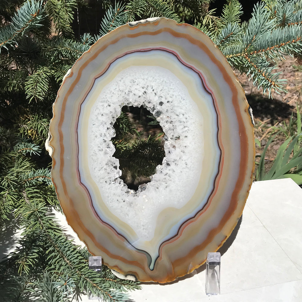 Glowing Translucent Agate Slice