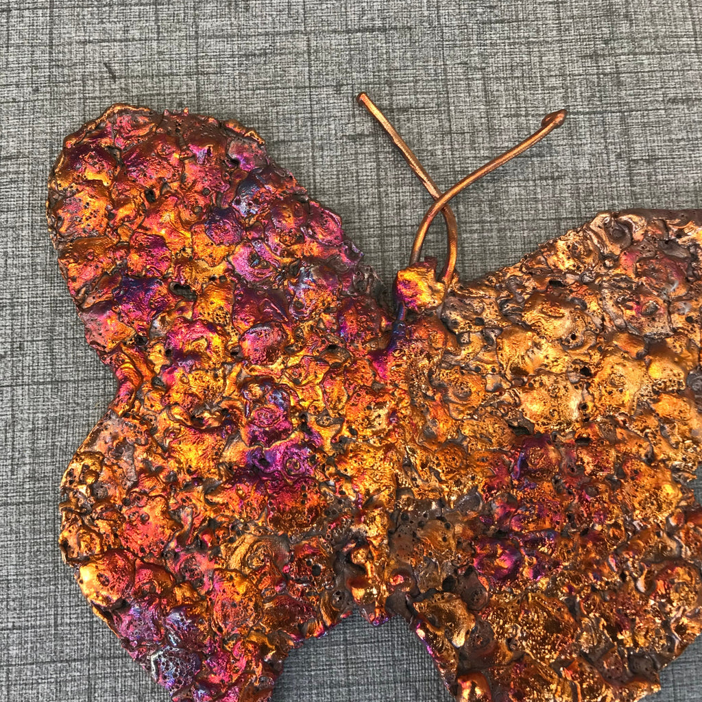Rainbow Copper Splash Butterfly Art