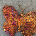 Rainbow Copper Splash Butterfly Art