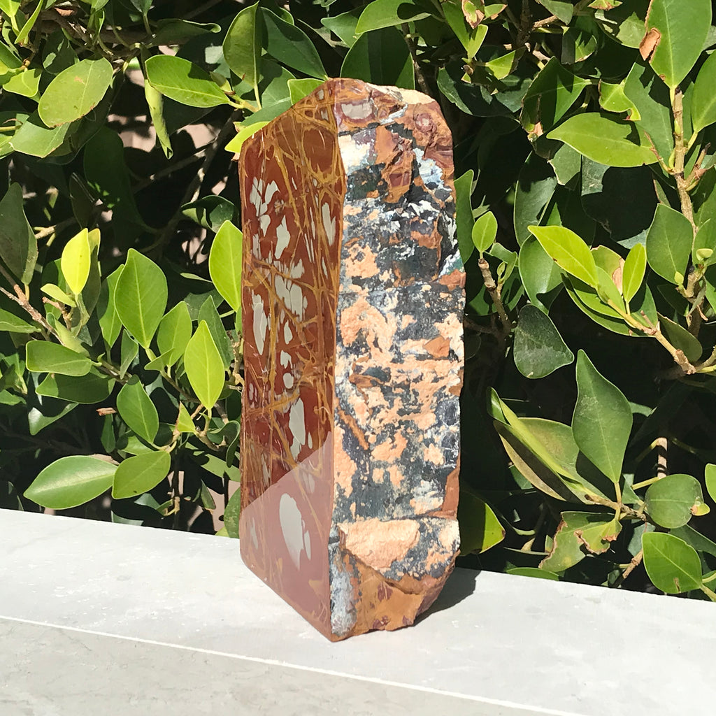 Noreena Jasper Slab