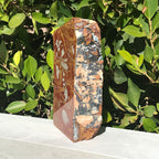 Noreena Jasper Slab