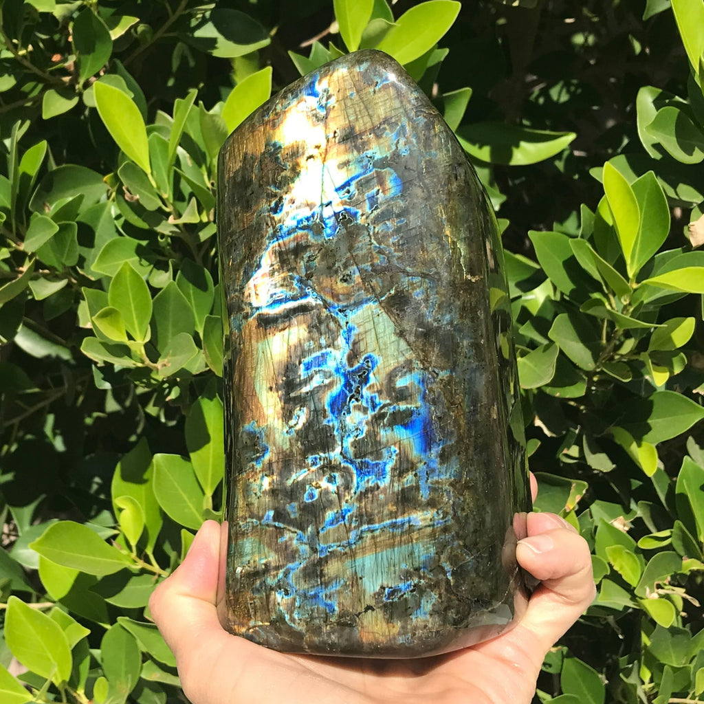 Intricate Patterned Labradorite Freeform