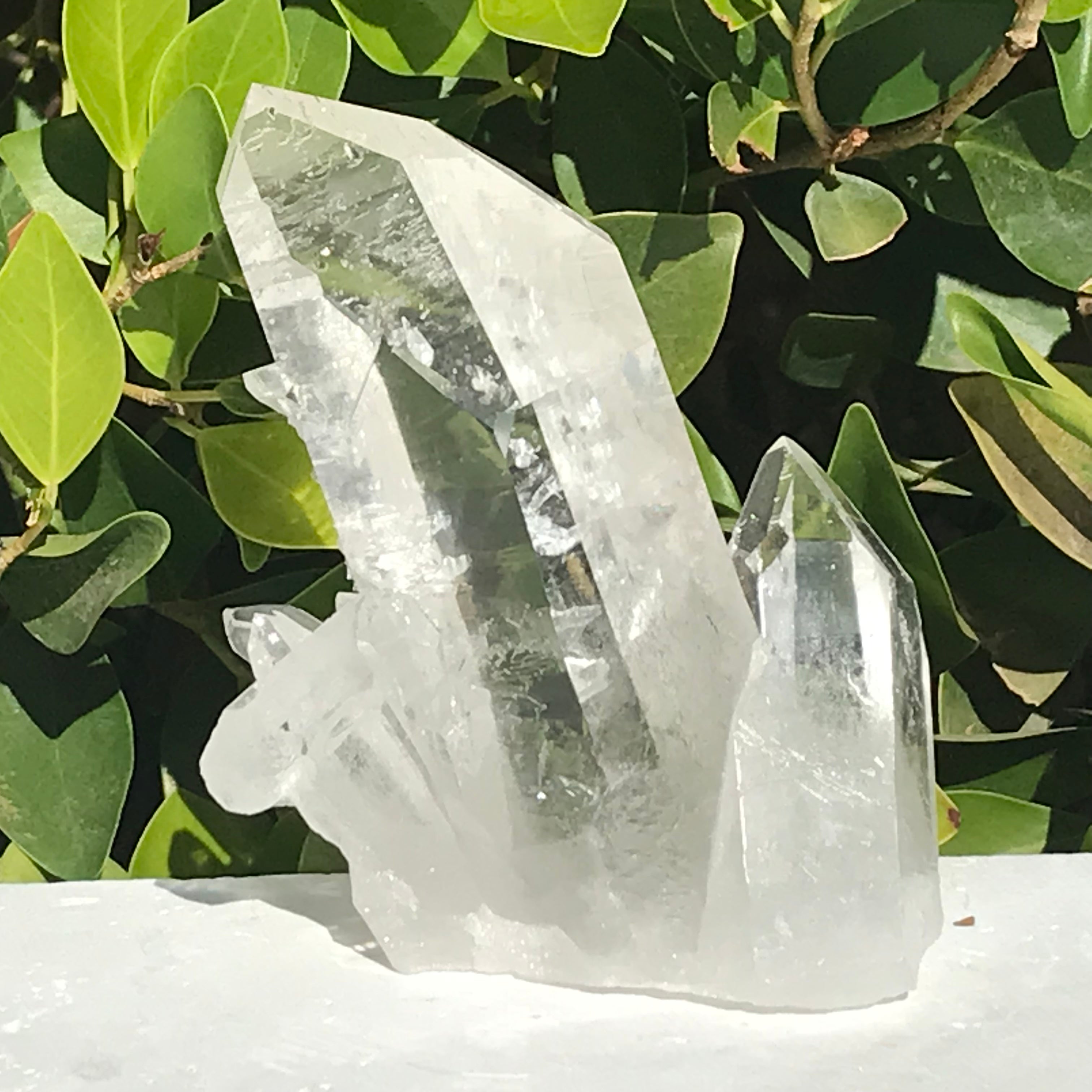 Crystal Growth on Lemurian Crystal Cluster