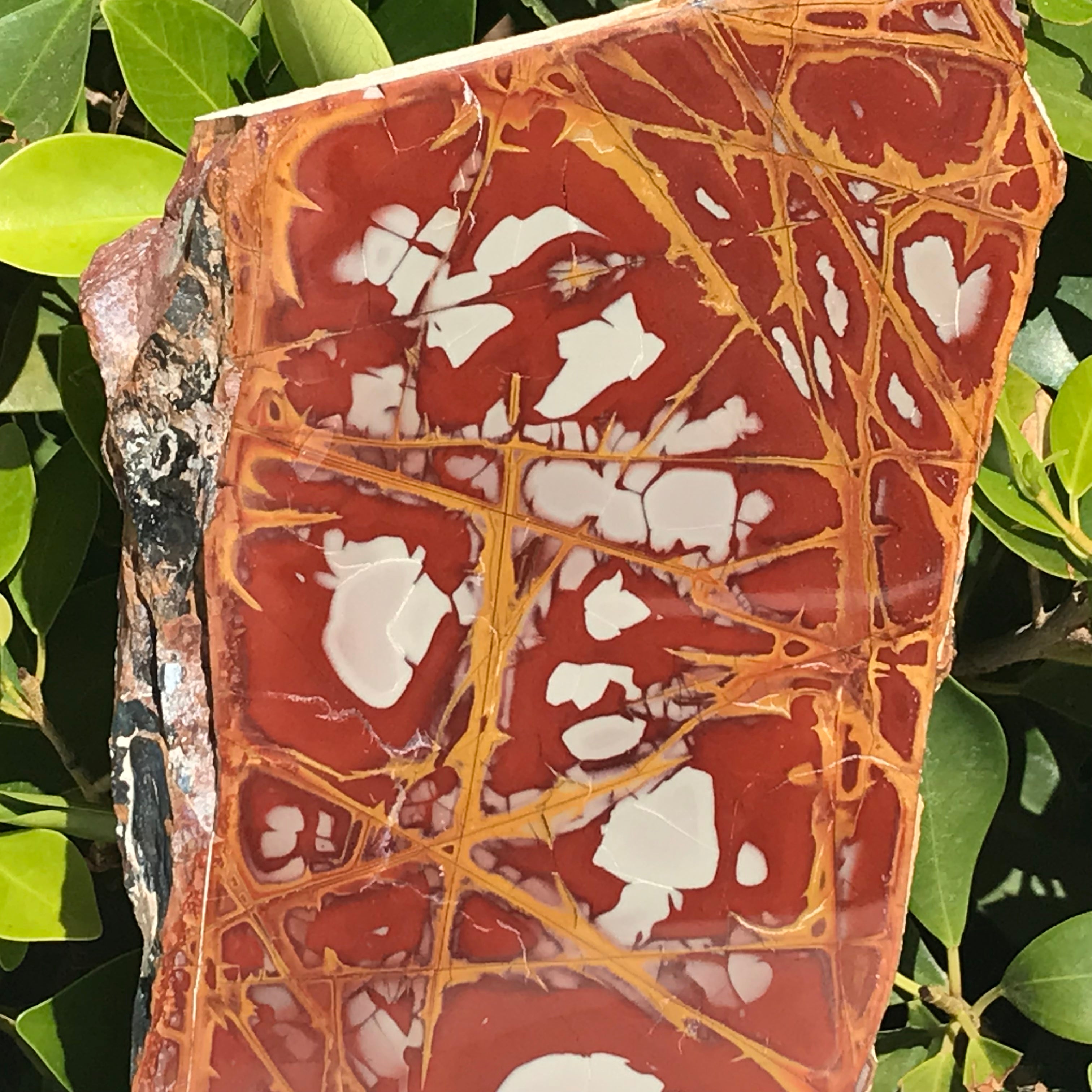 Jasper – Rockology.net