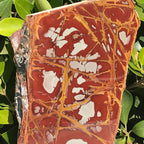 Noreena Jasper Slab