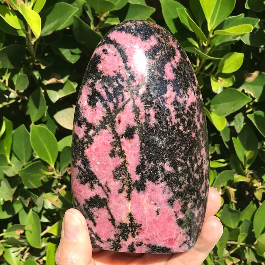 Polished Rhodonite Nodule