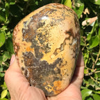 Ocean Jasper Nodule