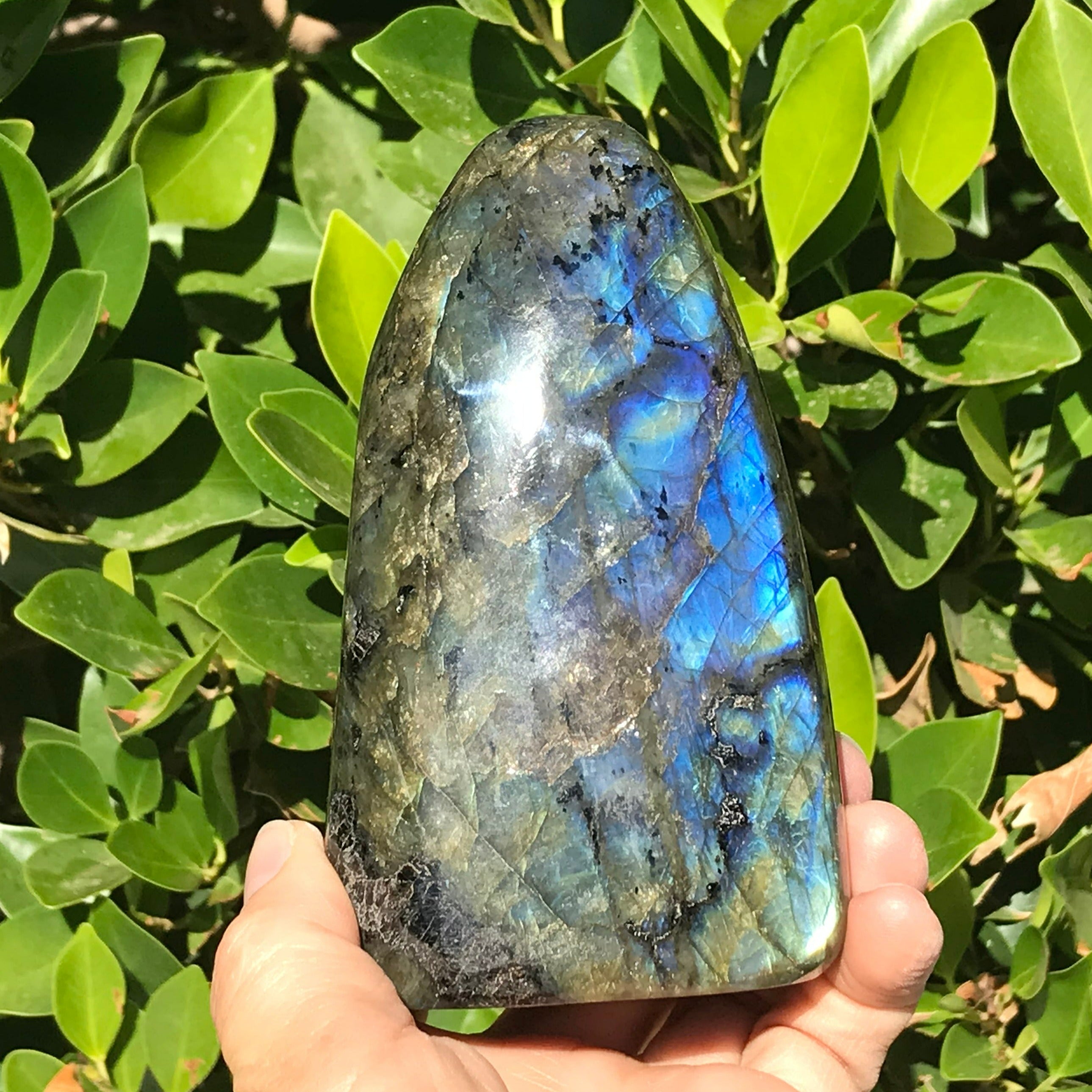 Colorful and Patterned Labradorite Freeform