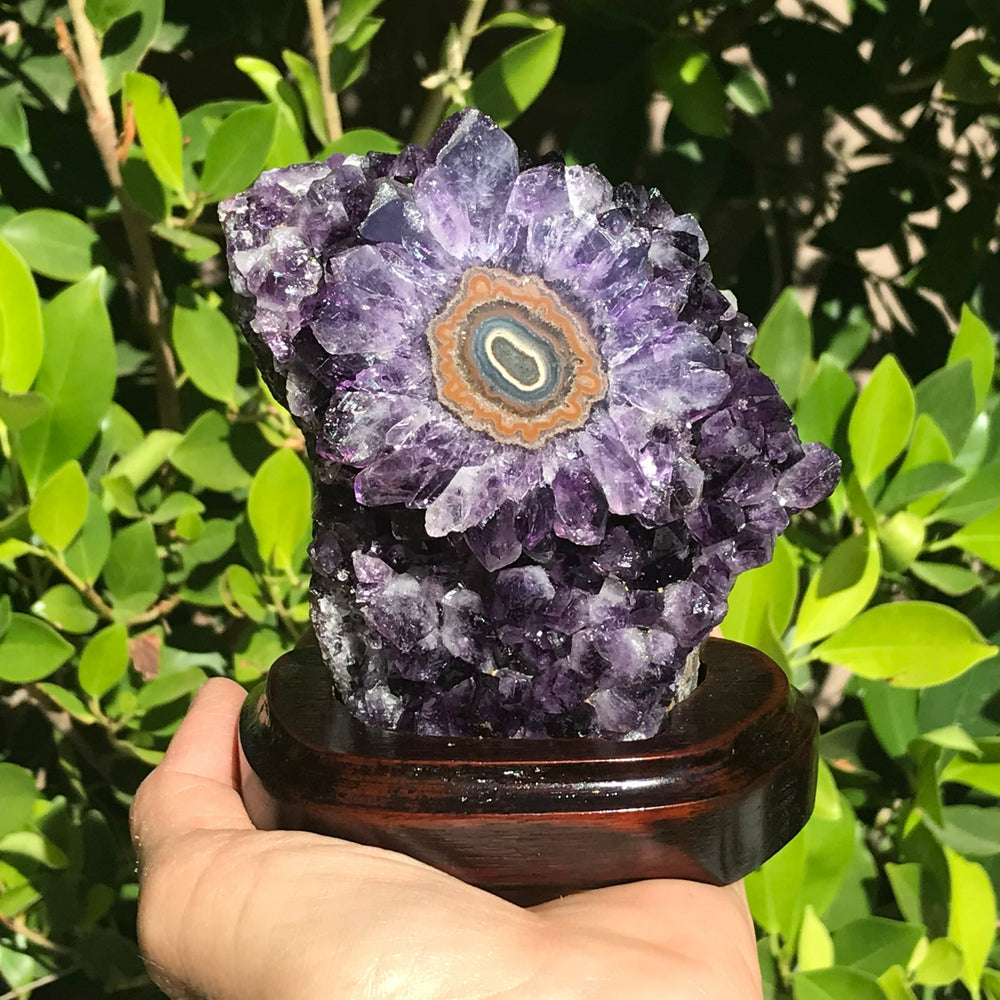 Amethyst Cluster with Magnifient Stalactite Eye