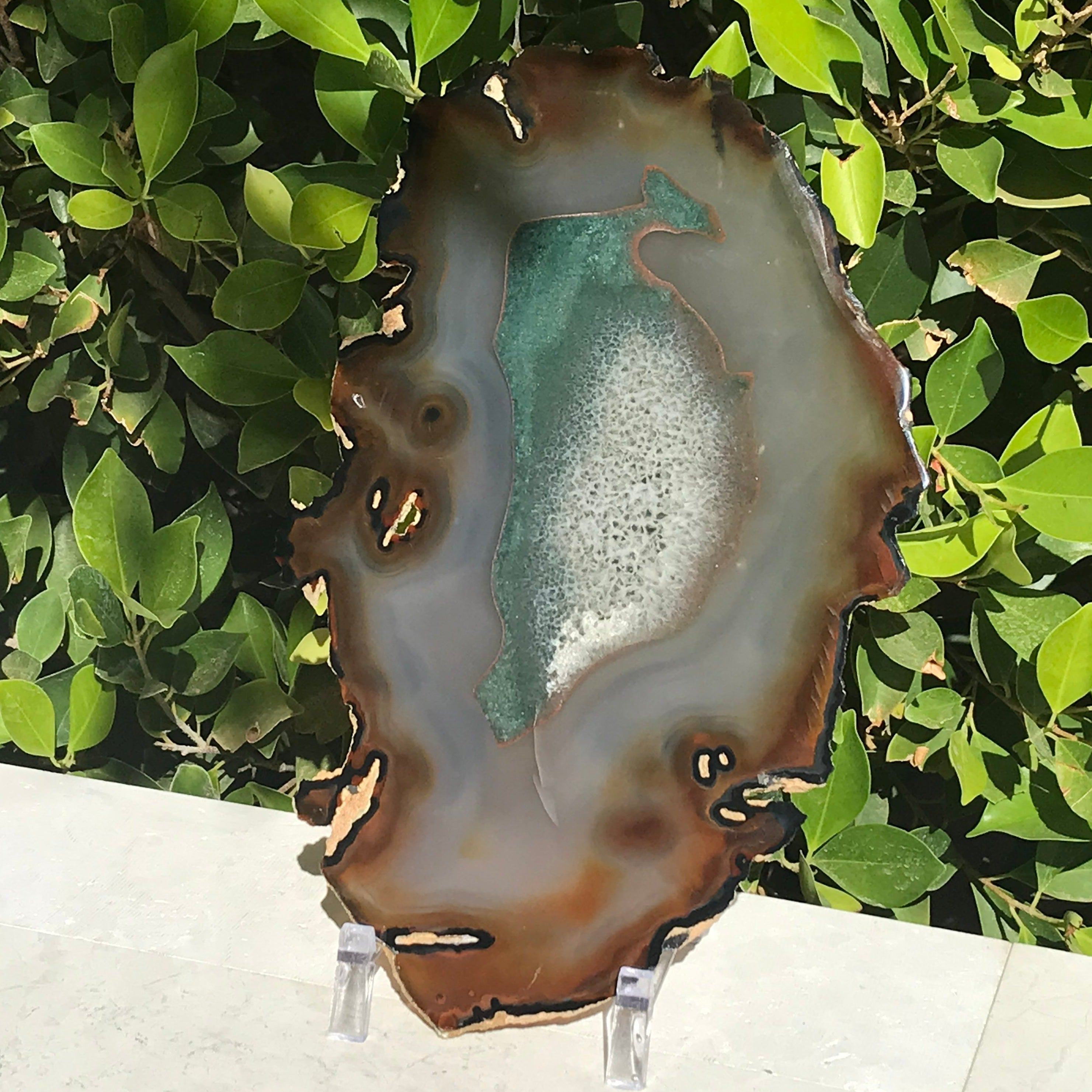 Bold Yellow and Green Banded Agate Slice