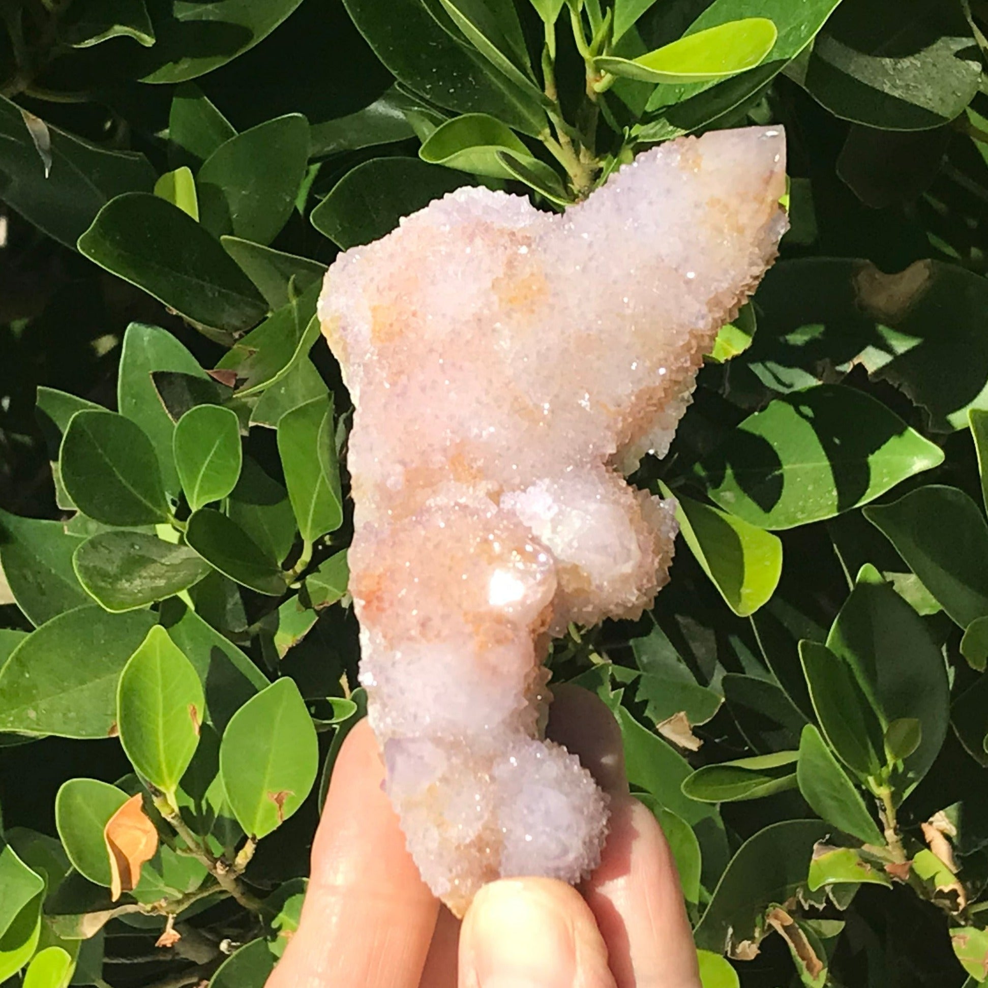 Towers of Crystals Cactus Quartz Cluster