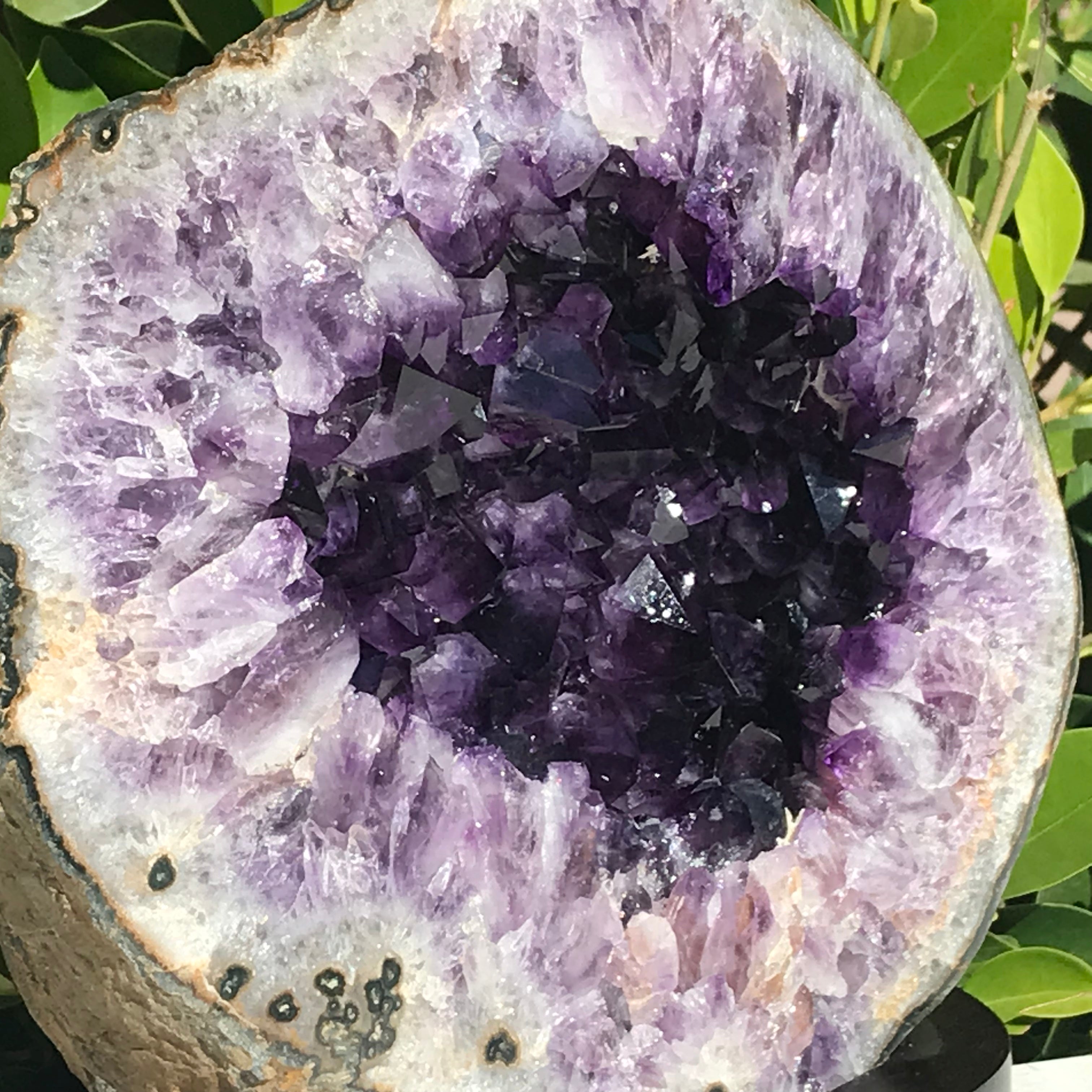 Agate Eye RimmedvAmethyst Geode